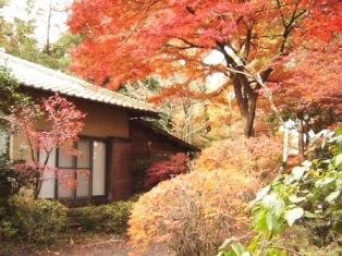 紅葉亭