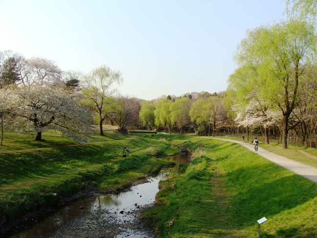 園内を流れる野川