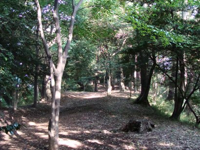 高幡城　本丸跡