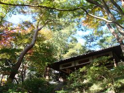 殿ヶ谷戸庭園